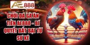 Chơi Đá Gà Ăn Tiền AE888
