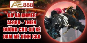 Đá Gà Khmer AE888