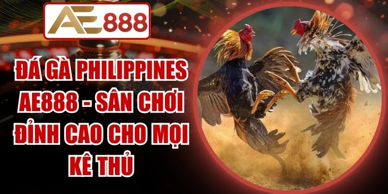 Đá Gà Philippines Ae888