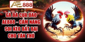 Gà Đá Cựa Dao AE888