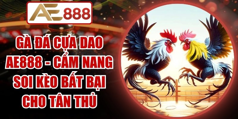 Gà Đá Cựa Dao AE888